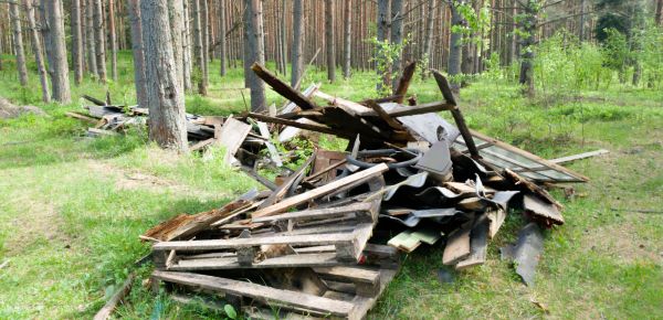 Debris Removal Service in Beloit